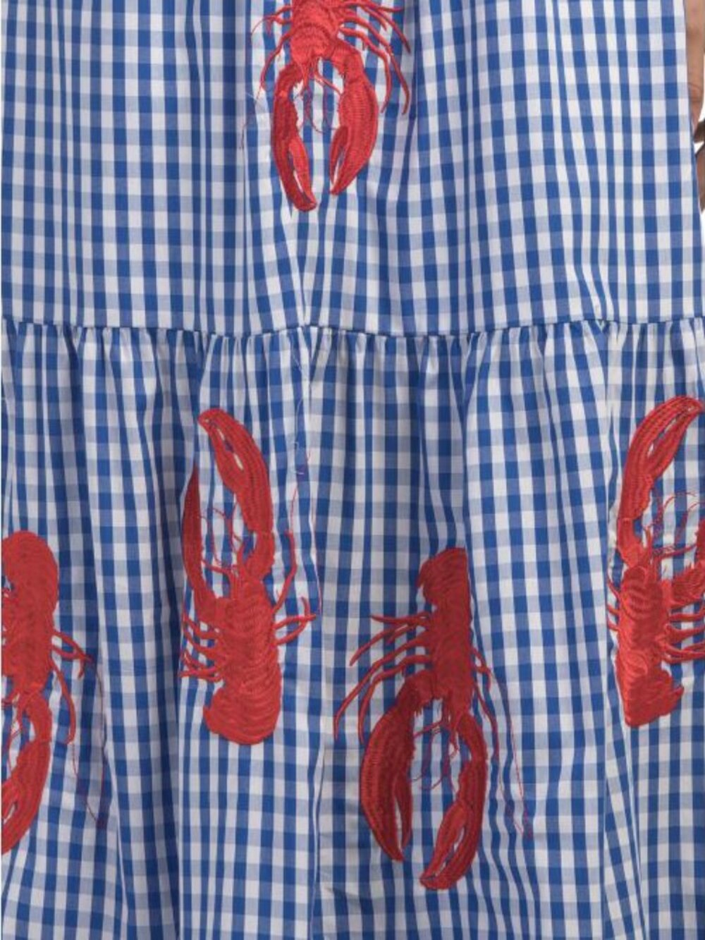 SOLITAIRE Sleeveless Lobster Embroidered Gingham Maxi Dress - Picture 3 of 5